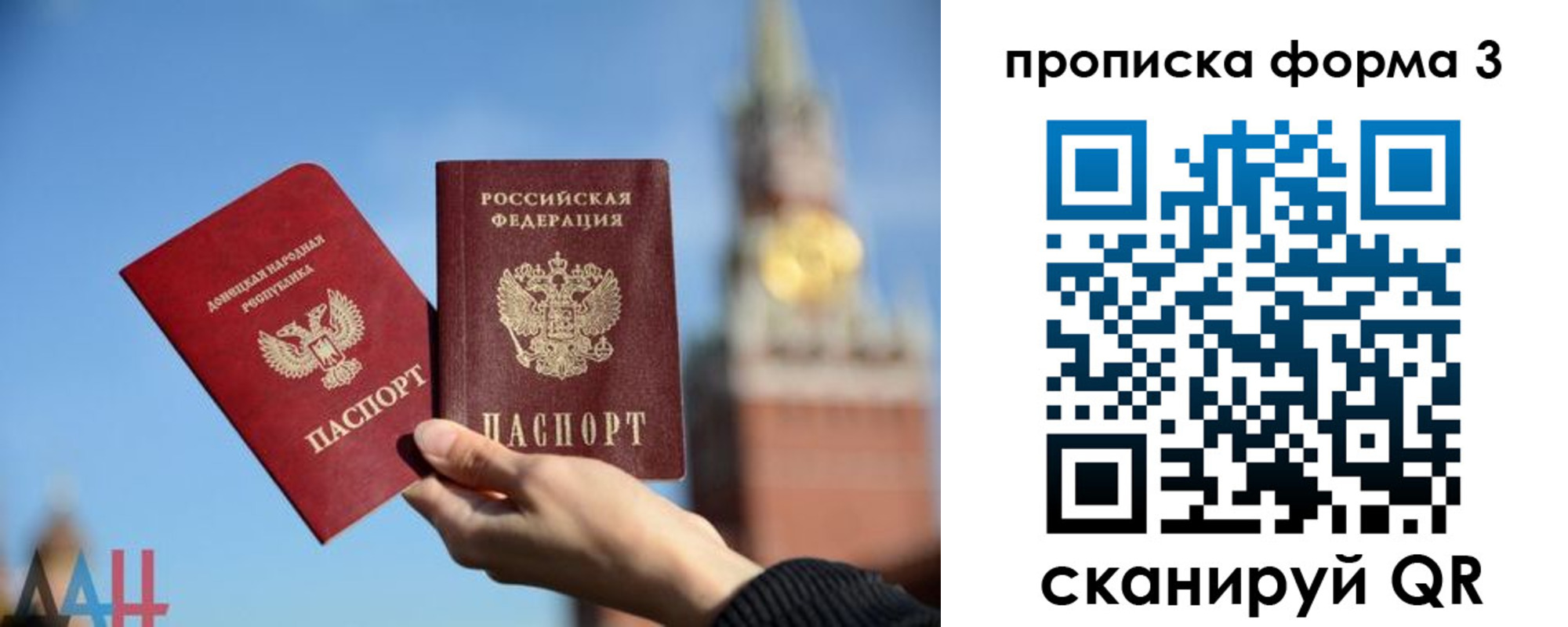 временная регистрация поиск в Павловске