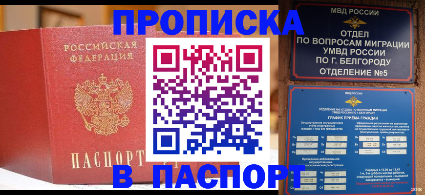 временная регистрация в квартире в Павловске